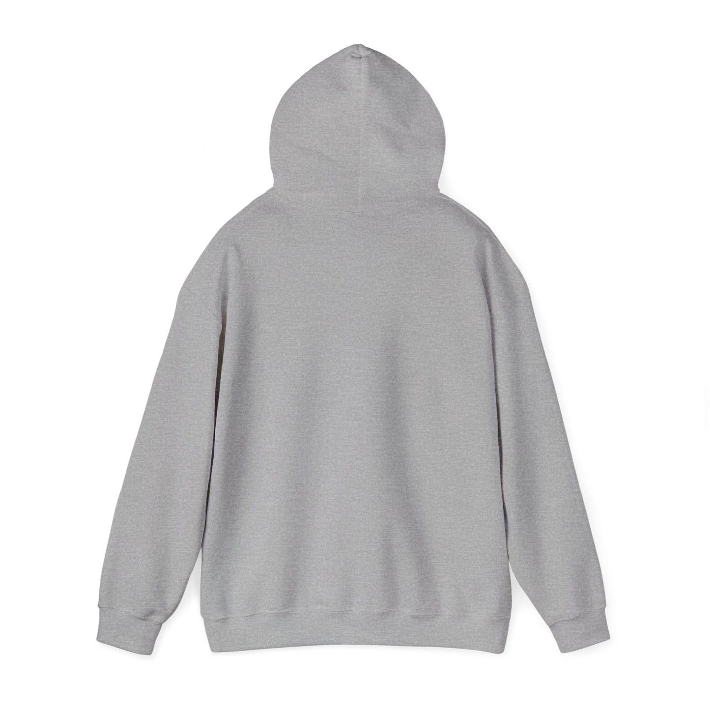 Skis Up Worries Down Hoodie HEMS Hoodie