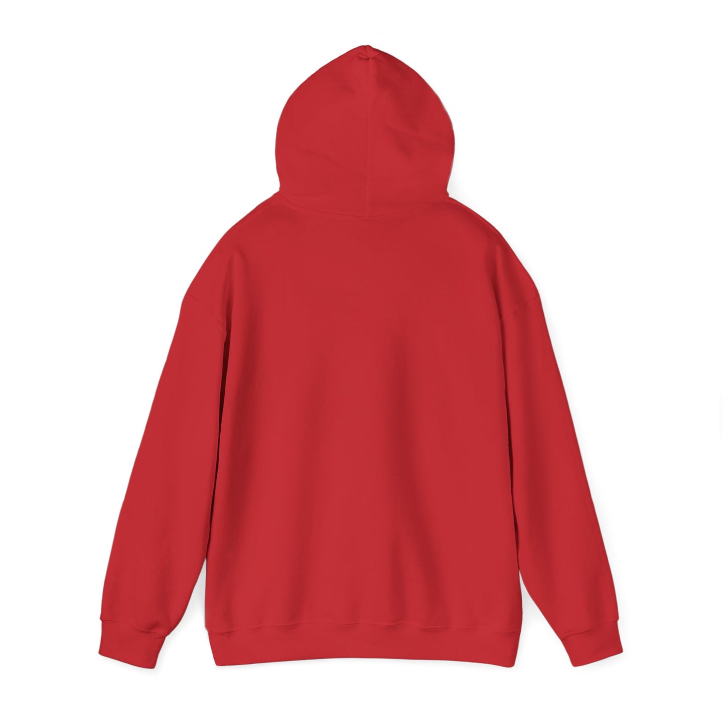 Skis Up Worries Down Hoodie HEMS Hoodie