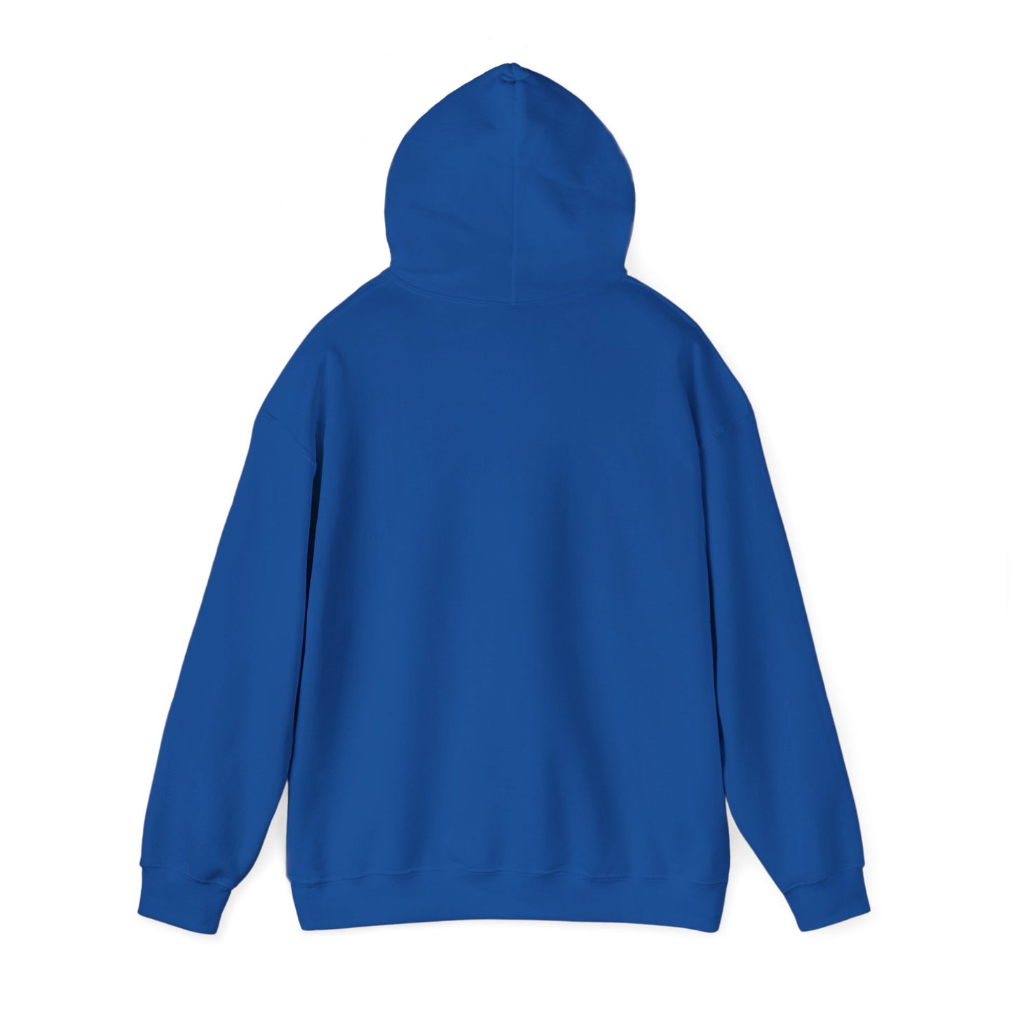 Skis Up Worries Down Hoodie HEMS Hoodie