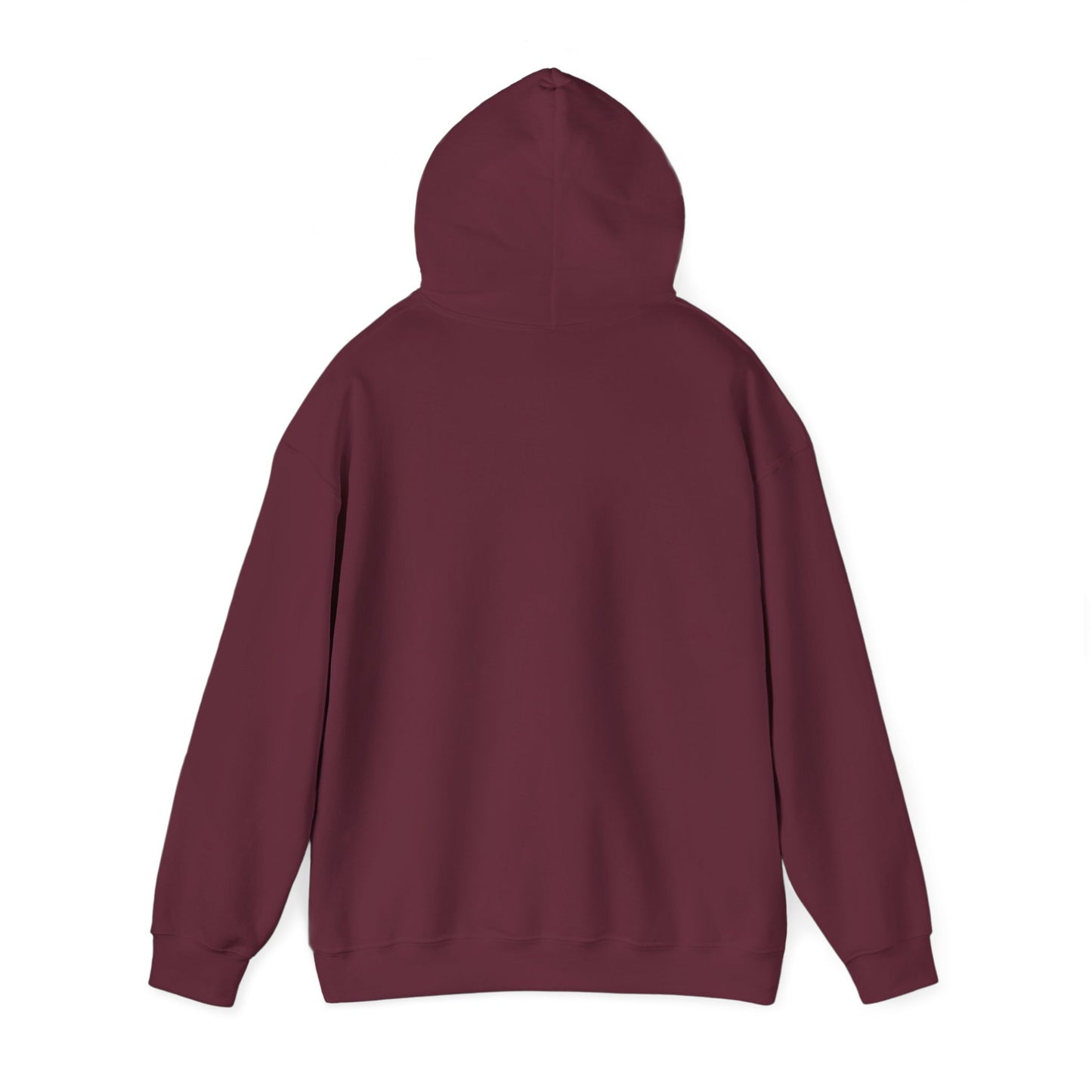 Skis Up Worries Down Hoodie HEMS Hoodie
