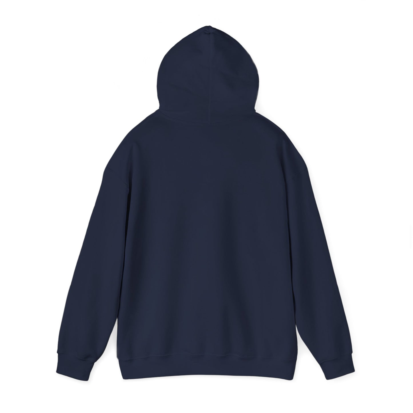 Skis Up Worries Down Hoodie HEMS Hoodie