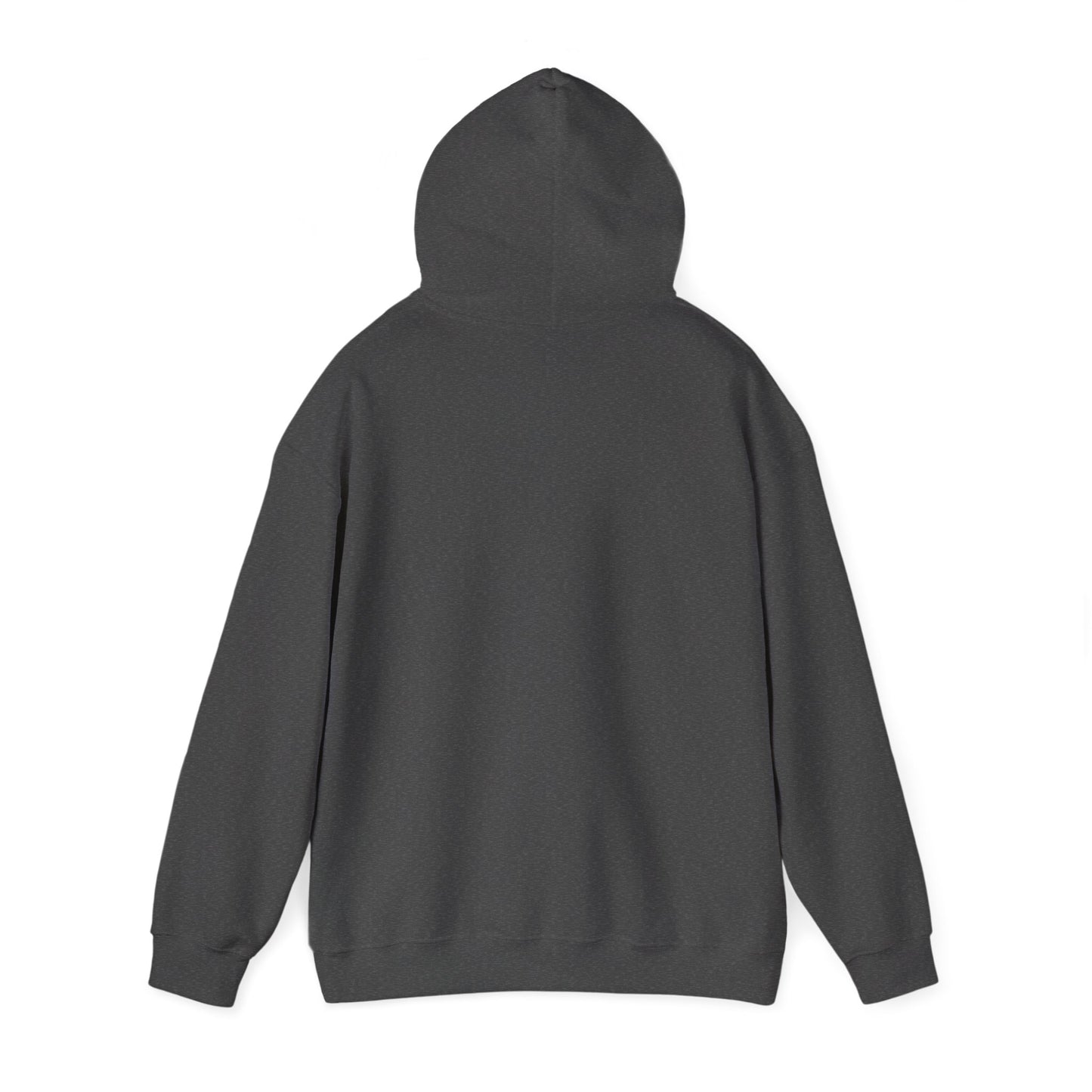 Skis Up Worries Down Hoodie HEMS Hoodie