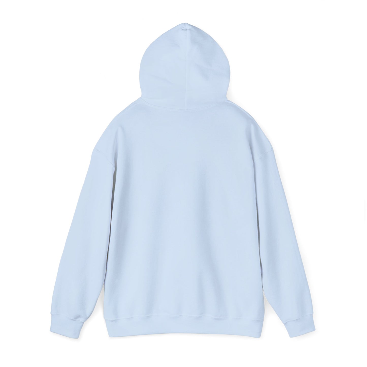 Skis Up Worries Down Hoodie HEMS Hoodie