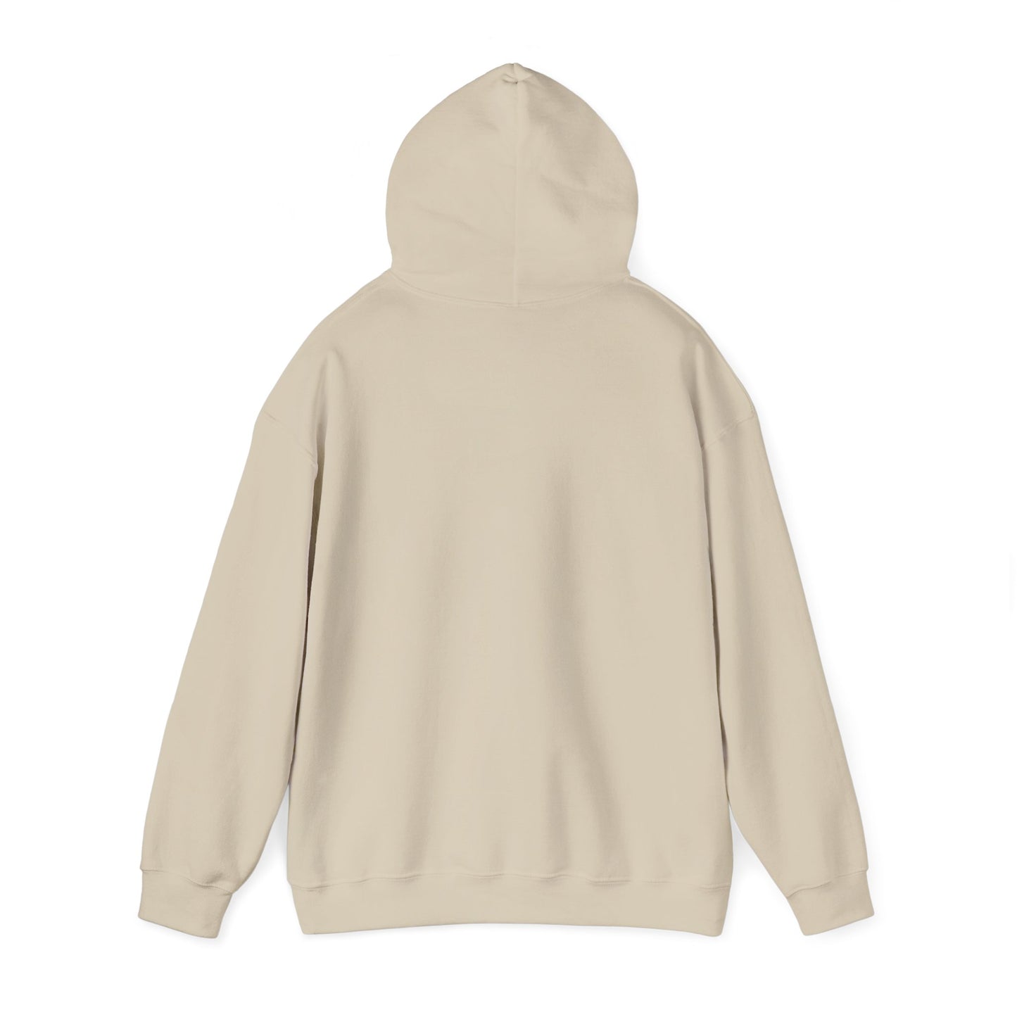 Skis Up Worries Down Hoodie HEMS Hoodie