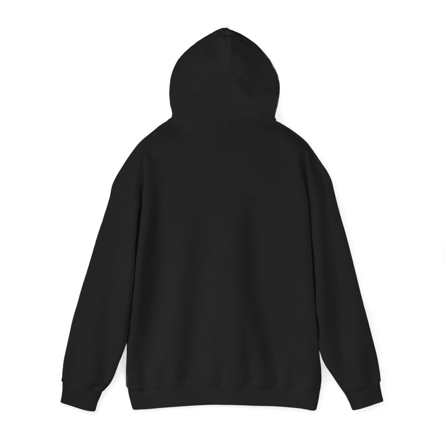Skis Up Worries Down Hoodie HEMS Hoodie